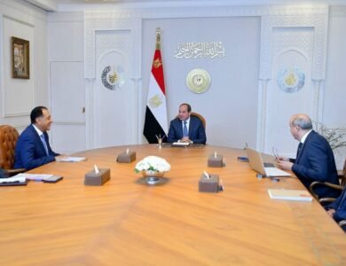 الرئيس-المصري-ويوجه-بتعزيز-استراتيجية-جذب-الاستثمارات-الأجنبية-لقطاع-الطيران